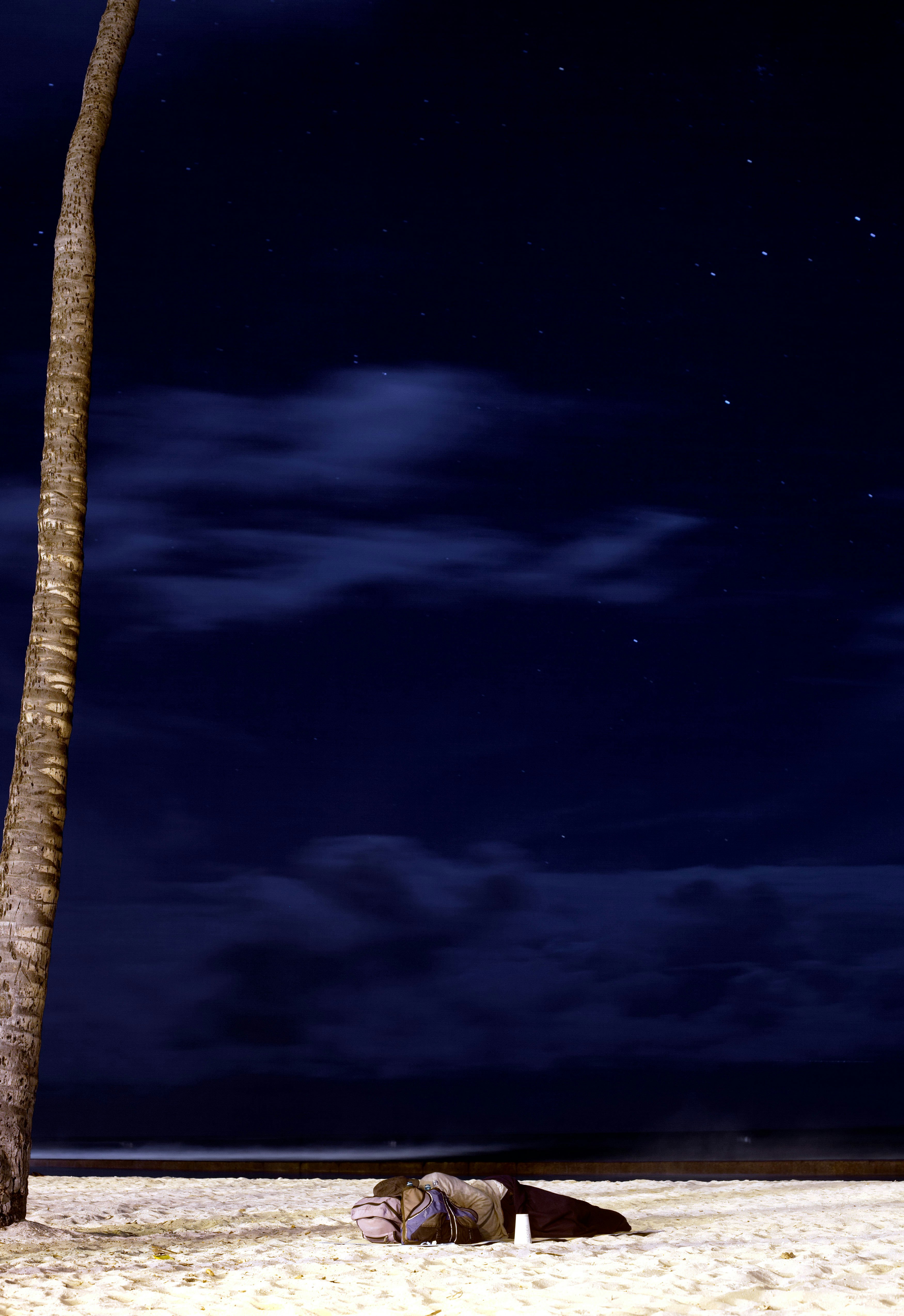 digital painting artwork of person lying on sand near palm tree